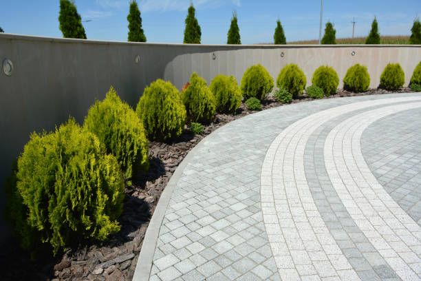 Reasons to Select Us for Your Driveway Paving Requirements in Delisle, MS